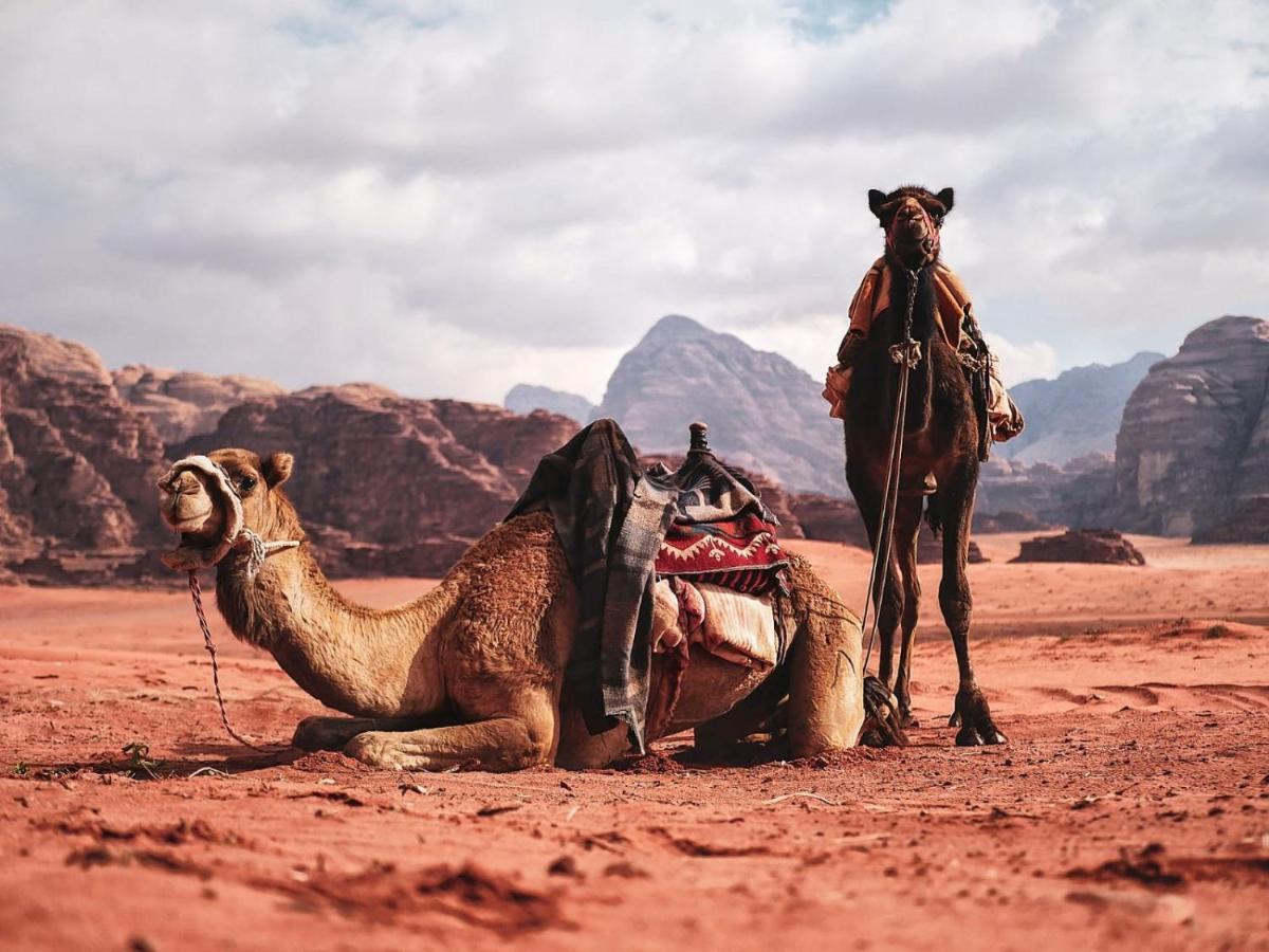Wadi Rum Nights Extérieur photo