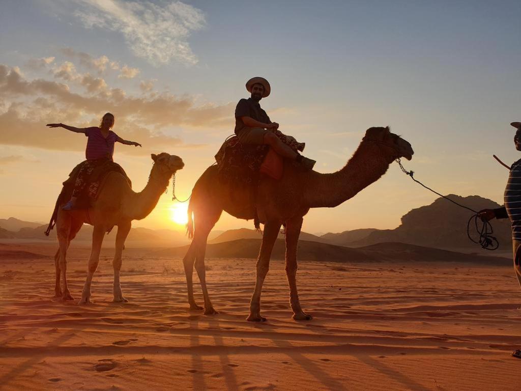 Wadi Rum Nights Extérieur photo