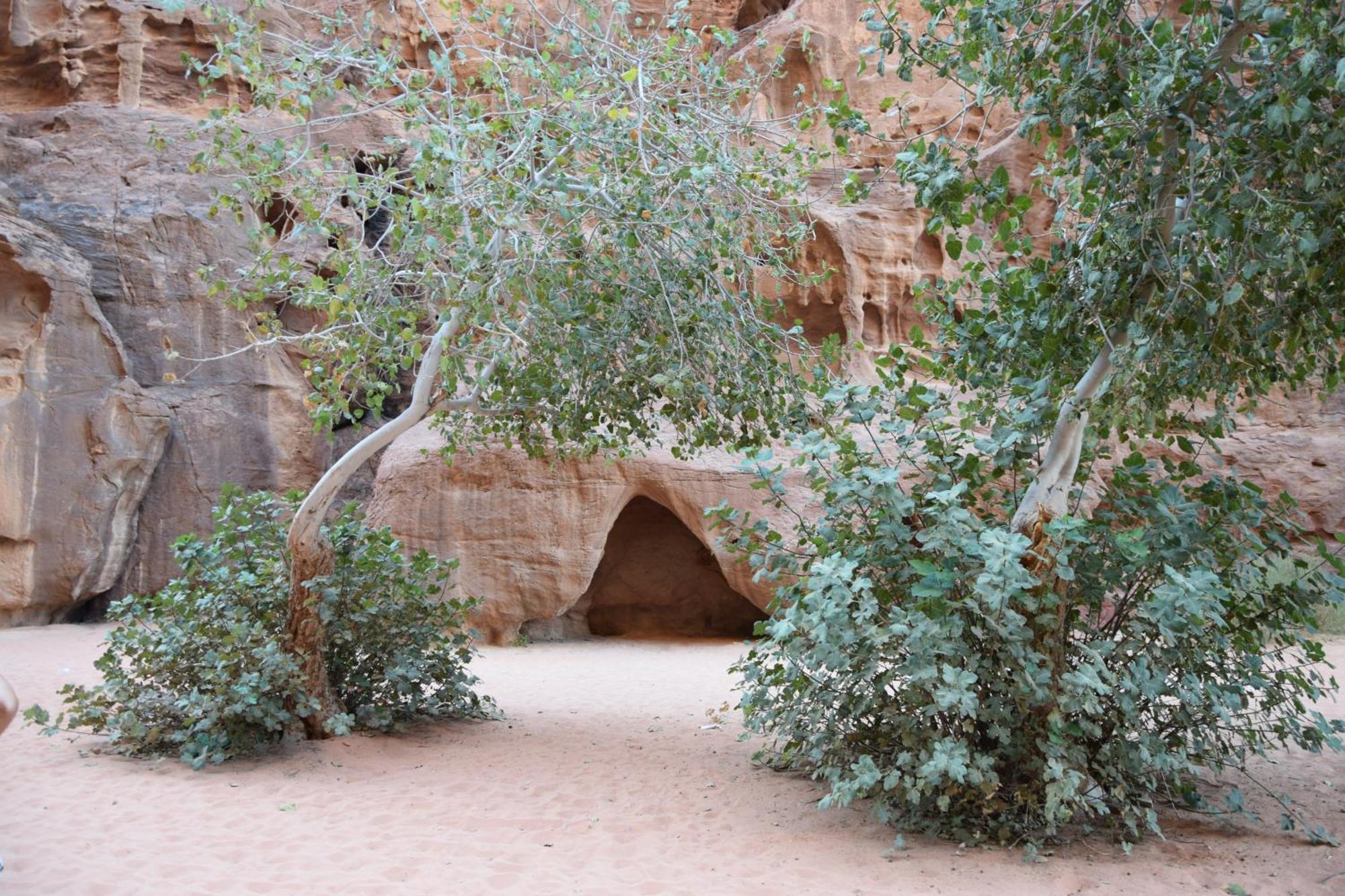 Wadi Rum Nights Extérieur photo